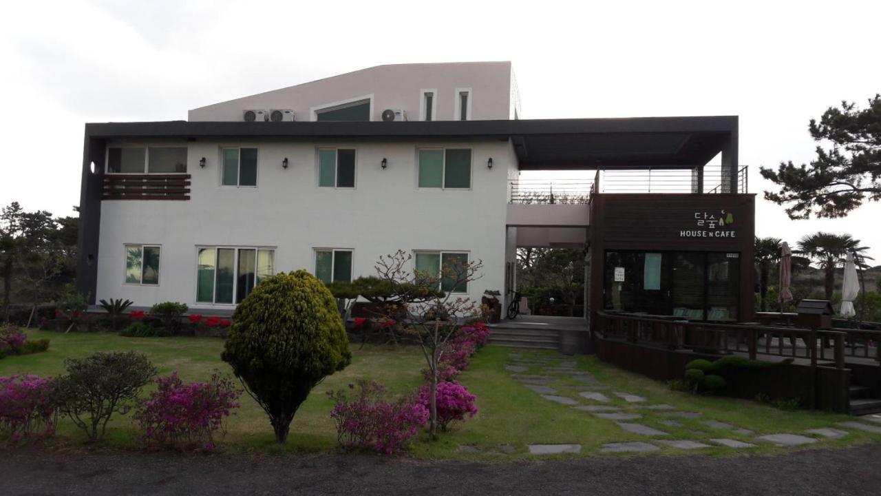 Moon Forest Guesthouse 济州市 外观 照片