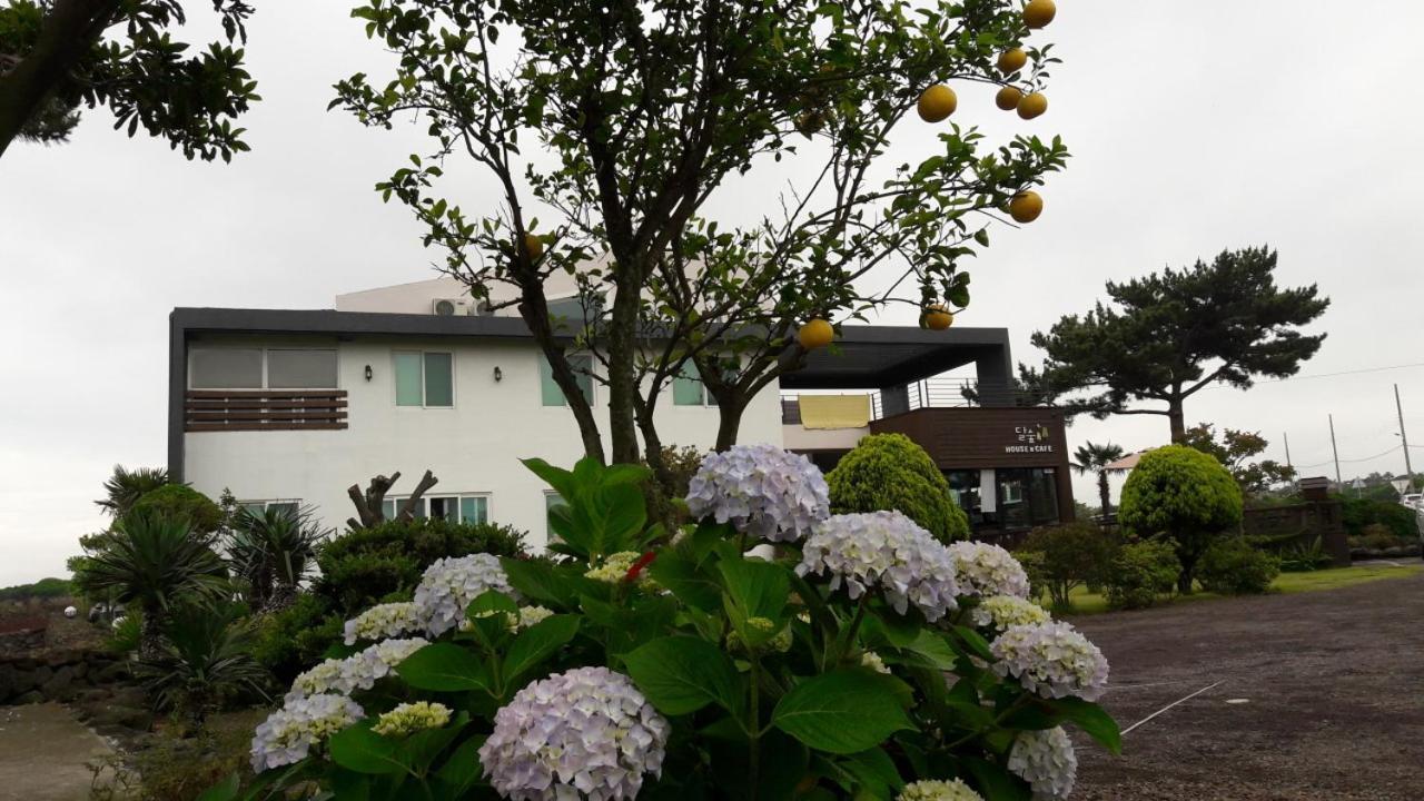 Moon Forest Guesthouse 济州市 外观 照片