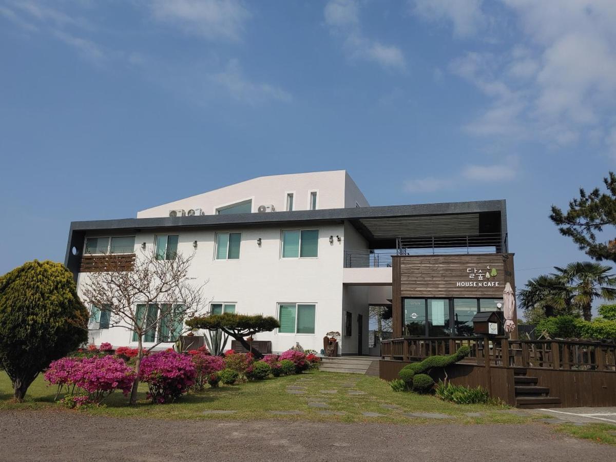 Moon Forest Guesthouse 济州市 外观 照片